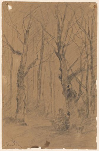 Trees at Ruurlo