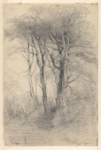 Group of trees at Hilversum