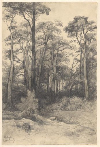 Landscape with Trees at Wolfheze