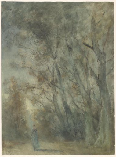Woman on a Forest Path