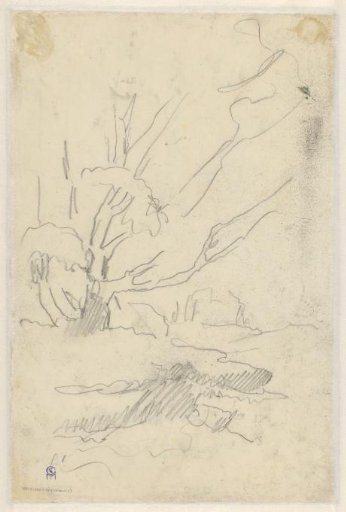 Study sheet with trees and vegetation