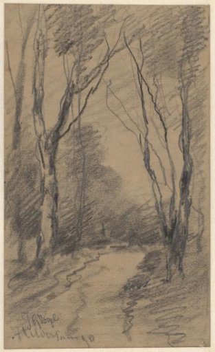 Path Between the Trees in Hilversum