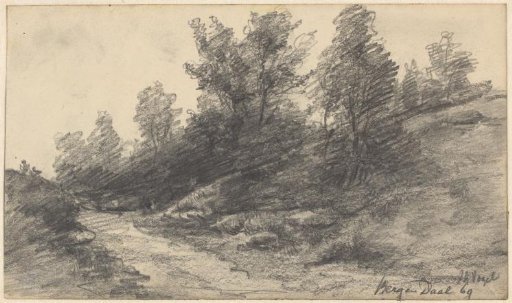 Landscape in Berg en Dal
