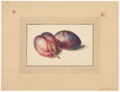 Plums