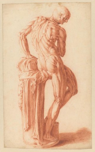 Écorché of a standing man leaning on a pedestal, seen from behind and turned to the right