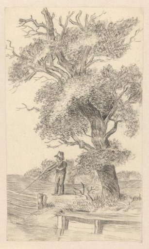 Fisher Standing Under a Large Tree