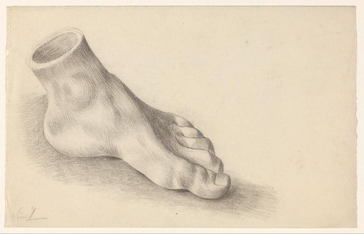 Study of a Foot