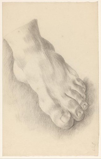 Study of a Foot