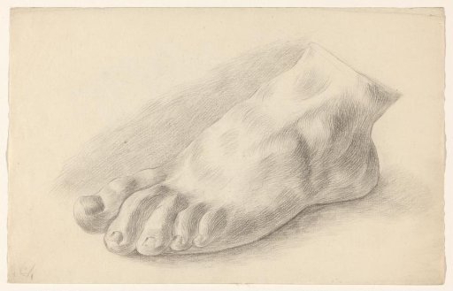 Study of a Foot