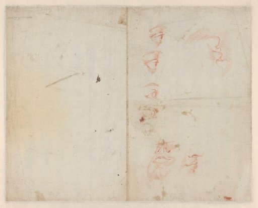 Sketches of eyes and noses