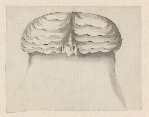 Design for a lid of a flask?