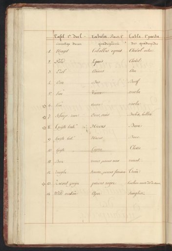 List of animals in the first part of the quadrupeds