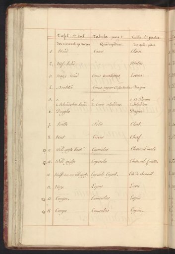 List of animals in the second part of the quadrupeds