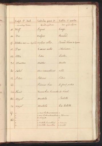 List of animals in the second part of the quadrupeds
