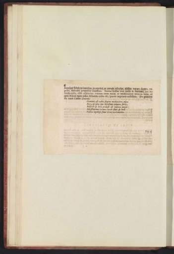 Fig. 3 'De Gramine Marino' in De Boodts herbarium of 1640