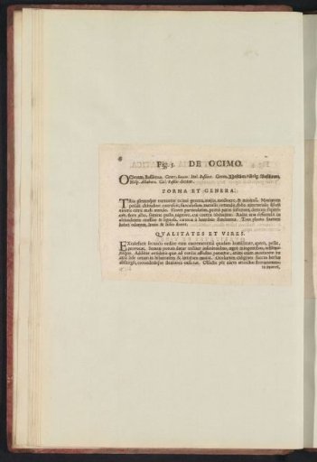 Fig. 5 'De Ocimo' in De Boodts herbarium of 1640