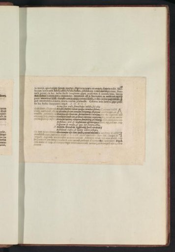 Fig. 5 'De Ocimo' in De Boodts herbarium of 1640
