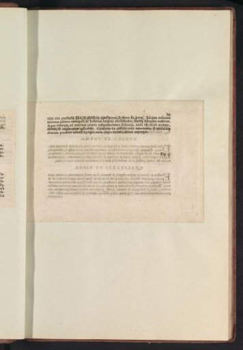 Fig. 8 'The Musky Rose' in De Boodt's Herbarium of 1640