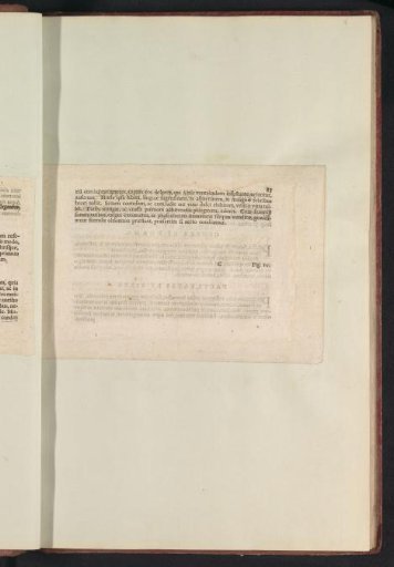 Fig. 9 'The Cucumber' in De Boodt's Herbarium of 1640