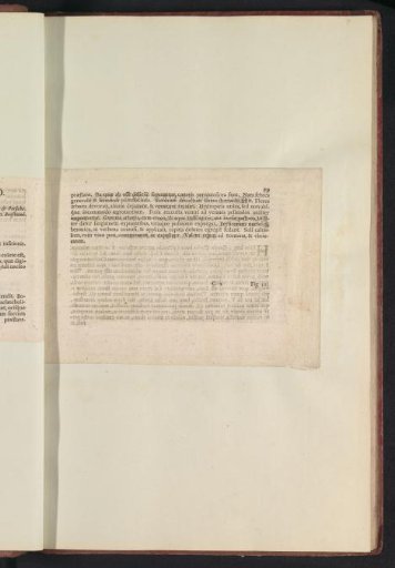 Fig. 10 'The Persian Apple' in De Boodt's Herbarium of 1640