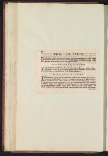Fig. 15 'The Iris' in De Boodt's Herbarium of 1640