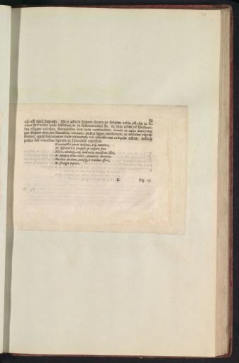 Fig. 16 'The Thorny Apple' in De Boodt's Herbarium of 1640