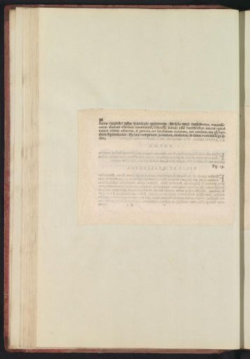 Fig. 18 'De Mespilo' in De Boodts herbarium of 1640