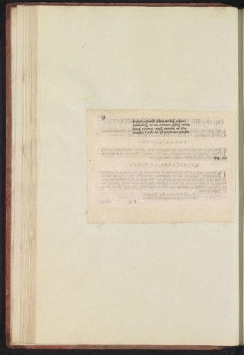Fig. 19 'De Caryophyllo Sylvestri' in De Boodts herbarium of 1640
