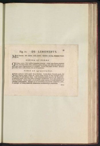 Fig. 20 'De Limonibvs' in De Boodts herbarium of 1640
