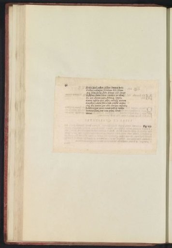 Fig. 20 'De Limonibvs' in De Boodts herbarium of 1640