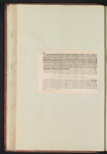 Fig. 21 'De Prvno Sylvestri' in De Boodts herbarium of 1640