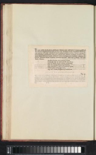 Fig. 22 'The White Levcoio' in De Boodts Herbarium of 1640