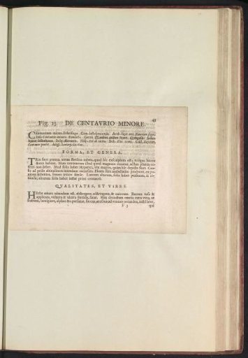Fig. 23 'The Lesser Centaury' in De Boodts Herbarium of 1640