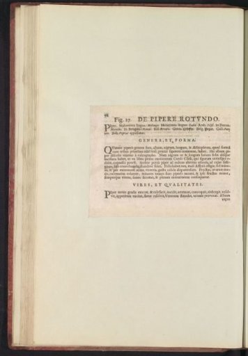 Fig. 27 'The Round Pepper' in De Boodts Herbarium of 1640