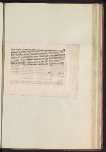 Fig. 27 'The Round Pepper' in De Boodts Herbarium of 1640