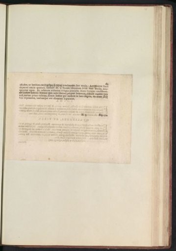 Fig. 31 'The Echium' in De Boodts Herbarium of 1640