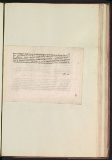 Fig. 33 'The Sempervivum' in De Boodts Herbarium of 1640