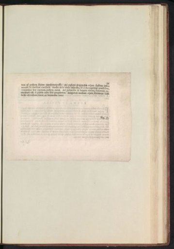Fig. 36 'De Millefolio' in De Boodts Herbarium of 1640