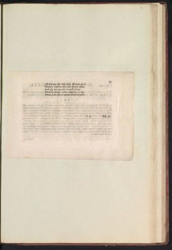 Fig. 39 'De Viola Matronali' in De Boodts Herbarium of 1640