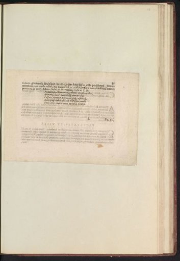 Fig. 41 'De Psevdomelanthio' in De Boodts Herbarium of 1640
