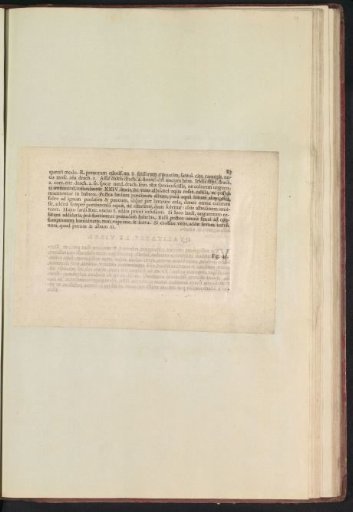Fig. 44 'De Malis Sev Pomis' in De Boodts Herbarium of 1640