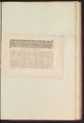 Fig. 47 'De Prvno Domestica' in De Boodts Herbarium of 1640