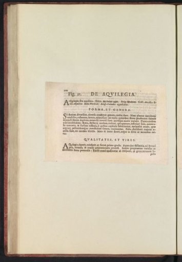 Fig. 51 'De Aqvilegia' in De Boodt's Herbarium of 1640