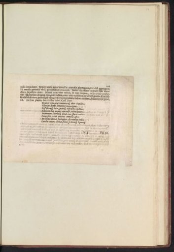 Fig. 51 'De Aqvilegia' in De Boodt's Herbarium of 1640