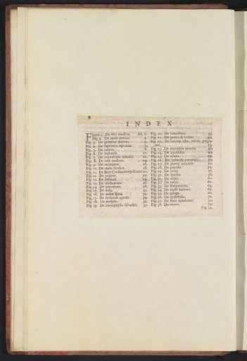 Index in De Boodts herbarium of 1640