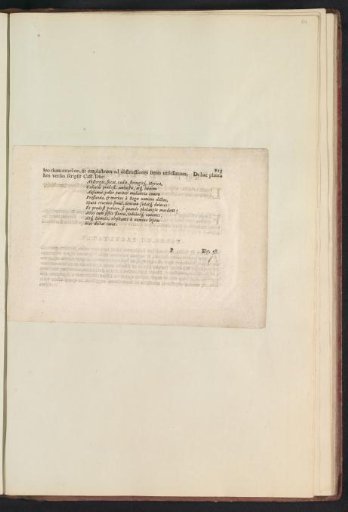 Fig. 57 'De Tamarisco' in De Boodt's Herbarium of 1640