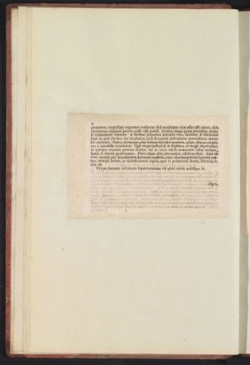 Fig. 1 'De Vite Vinifera' in De Boodts herbarium of 1640