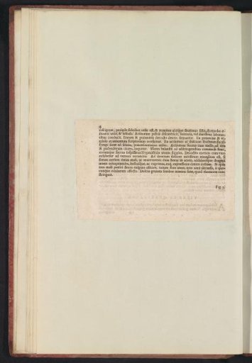 Fig. 2 'De Malo Pvnica' in De Boodts herbarium of 1640