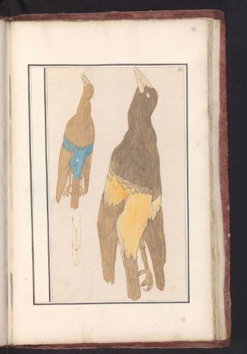 Two Birds