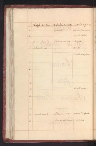 List of birds in the sixth volume of birds